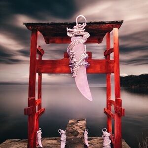 Genuine Rose Quartz Tooth With Dragon On It 2.5 " Long With Black Cord Necklace